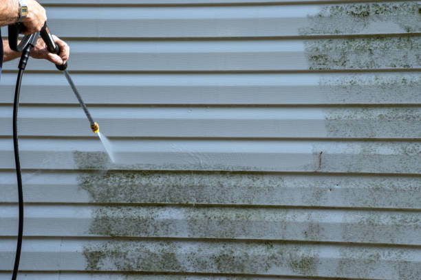 Affordable siding repair and maintenance services in Huntingtown, MD